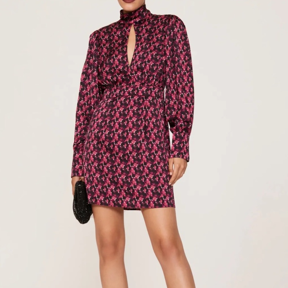 Ronny Kobo Collection Long Sleeve Dress - Pink and Black